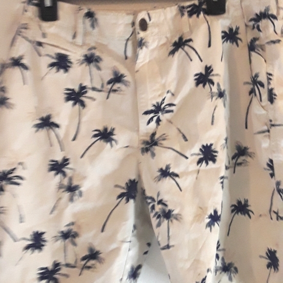 Mens chino style palms short - Picture 1 of 7